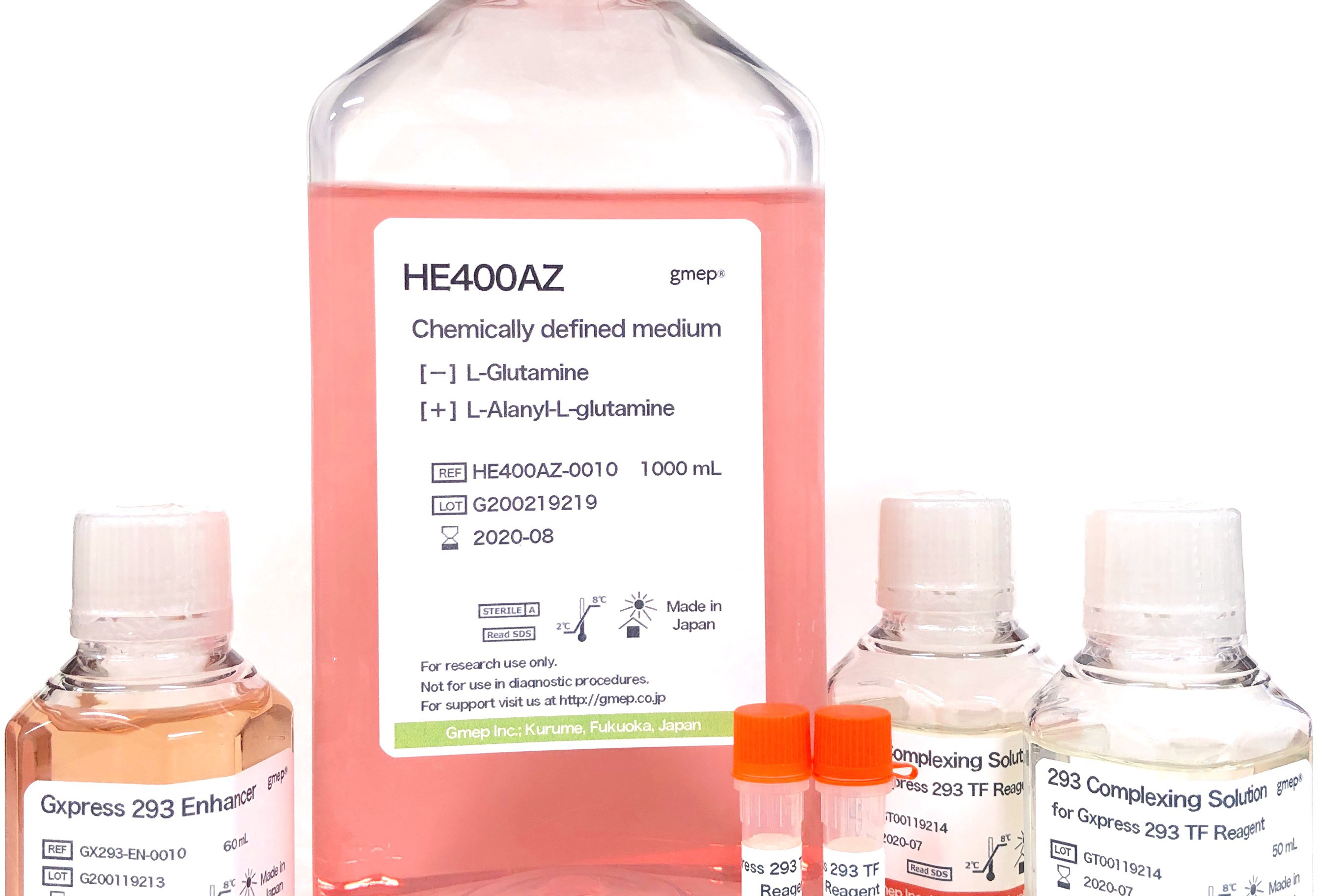 Transfection Reagent｜293 cells｜Products｜Gmep Incorporated