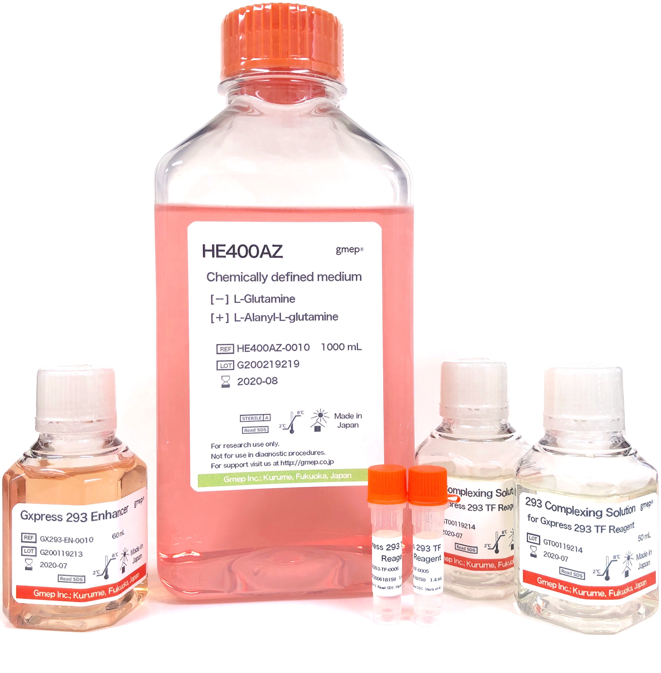 Gxpress 293 Transfection & Medium Kit｜293細胞｜トランスフ