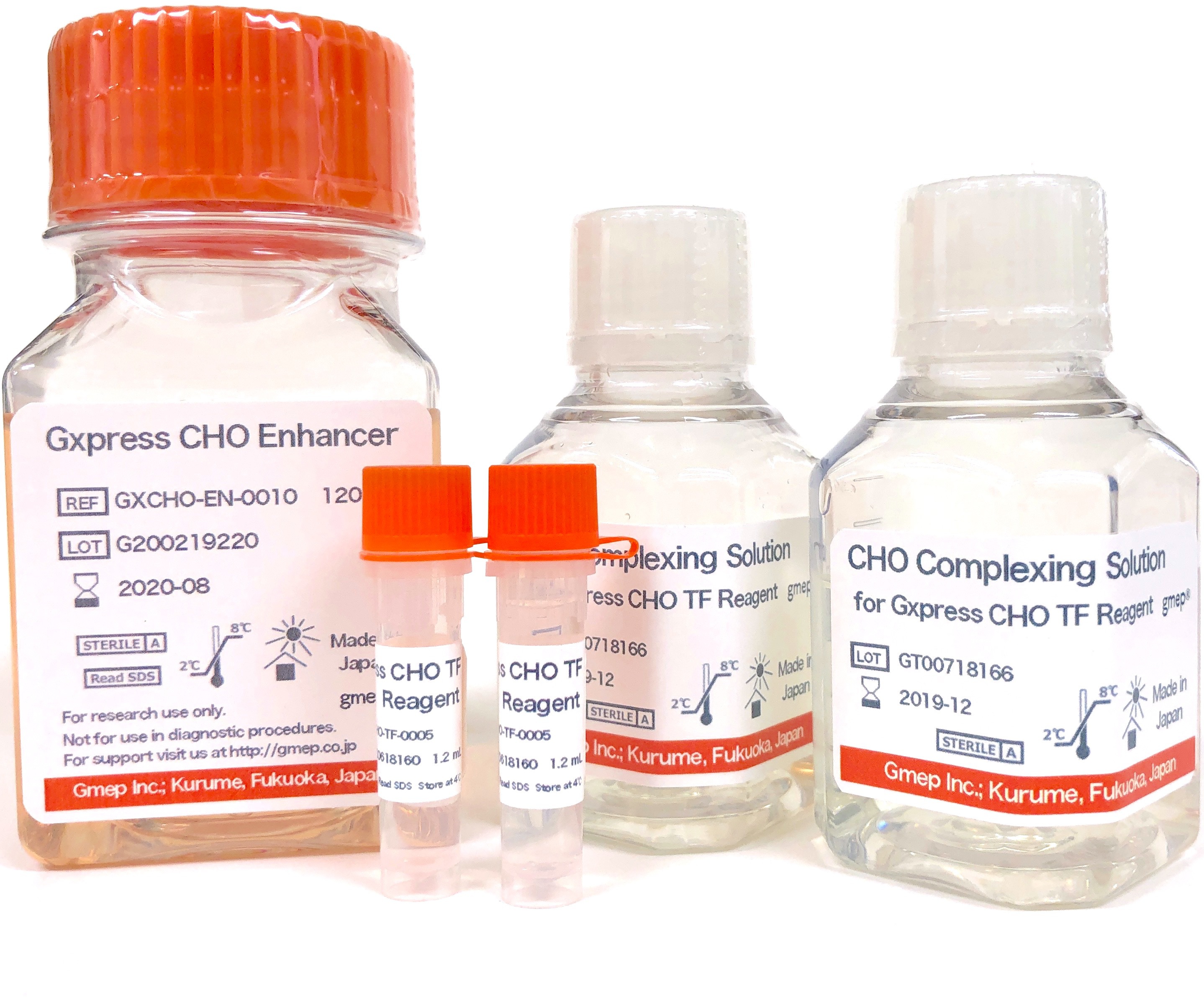 CHO transfection chemically defined serum free medium