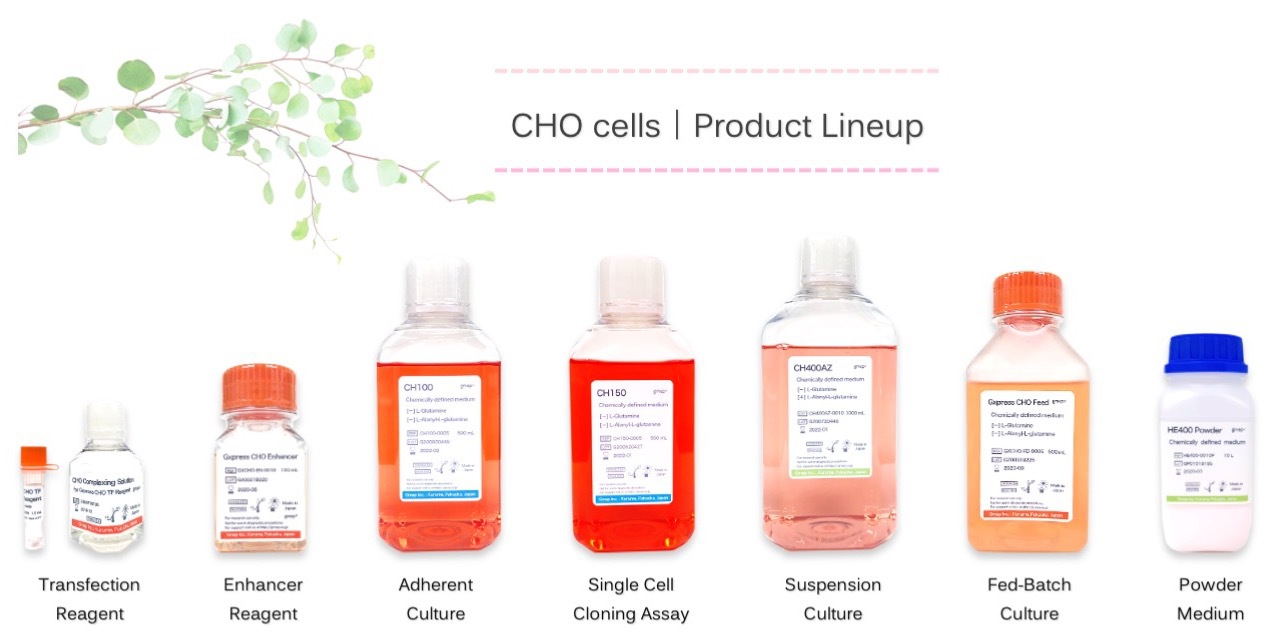 Chemically Defined Medium|CHO cells|Products|Gmep Incorporated